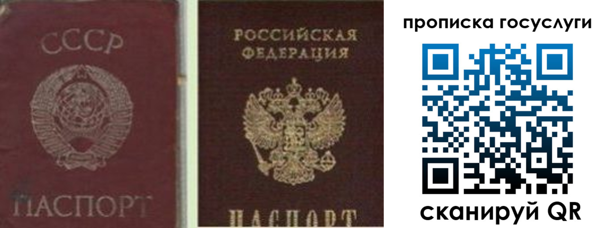 временная регистрация 2025 в Россоши